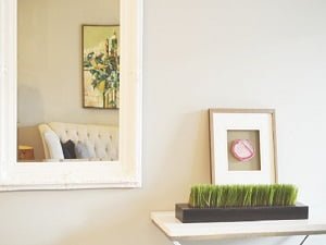 Services Parramatta Glaziers 2 Mirrors Caboolture