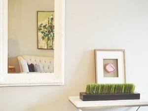 Home Parramatta Glaziers 5 Mirrors Parramatta